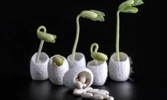 Покрити семена, за да се даде възможност за растеж на културите на непродуктивни земи