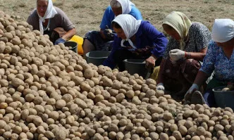 Валентина Васильонова, зам.-председател на ФНСЗ