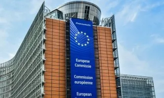 Искане за по-строги закони за защита на животните