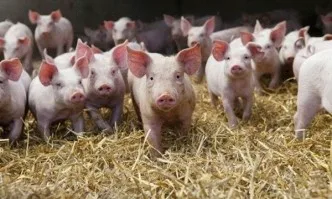 Епидемията в Китай ще вдигне световните цени