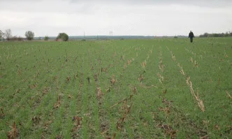 No-Till технологията трябва да бъде заложена като мярка в новия програмен период на ОСП
