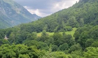 Загубата на дива природа ще струва на световната икономика 479 милиарда долара годишно до 2050 г.