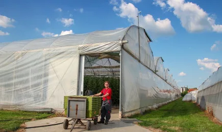 Лондон удължи схемата за сезонни работници до 2024 г.