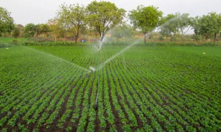 Уебинар на тема: Законови възможности за напояване. Водоспестяващи и енергоспестяващи поливни технологии