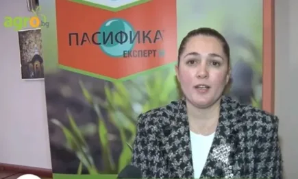 Bayer има решение за всеки един проблем в пшеница