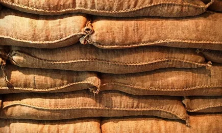 Цените на рапицата в Париж гонят 800 евро