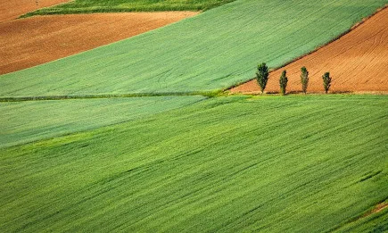 Испания ограничава директните плащания