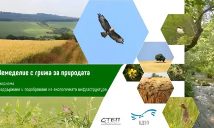 Екосхема за поддържане и подобряване на екологичната инфраструктура