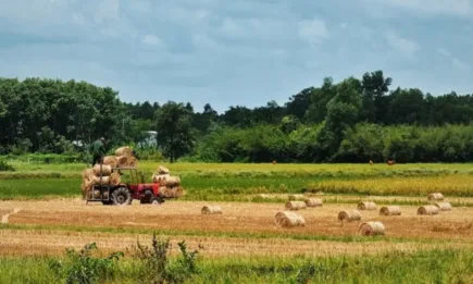 МЗХ публикува за обществено обсъждане промени в стандартите за добро земеделско и екологично състояние