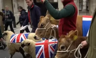 Британските фермери излизат на протест