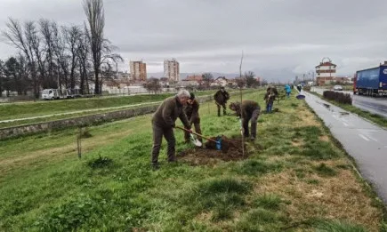 Експерти от РДГ-Кюстендил залесиха част от територията около река Банщица