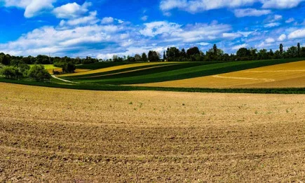ДФ Земеделие преведе близо 113 млн. лева по Схемата за преразпределително плащане за Кампания 2020