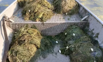 Проверка на езеро Вая