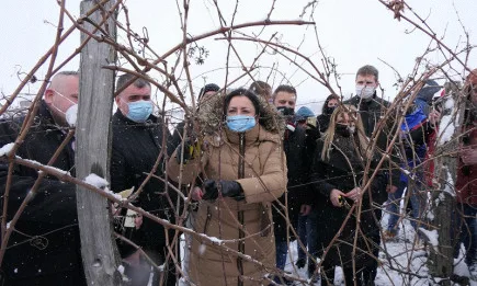Министър Танева: През изминалата година лозаро-винарският сектор беше подпомогнат с над 60 млн. лева