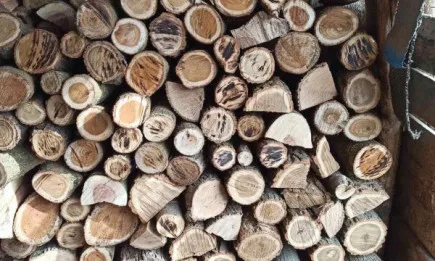 16 акта за съхранение на дървесина без документи съставиха служителите от РДГ – Русе