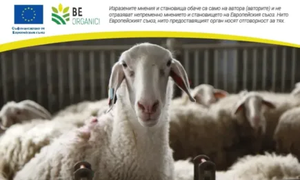 Работещ пример за биологично и модерно технологично стопанство