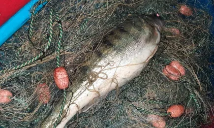 Масирани проверки на служители от отдел 