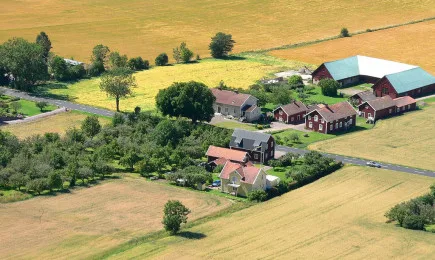 1 635 проекта по подмярка 6.3 от ПРСР 2014-2020 продължават на следващ етап