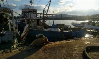 Определени са критериите за допустимост на риболовните кораби за участие в усвояването на националната квота калкан