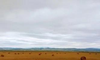 От днес земеделските стопани могат да подават възражения по специализирания слой Площи, допустими за подпомагане за кампания 2019