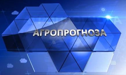 Седмична агрометеорологична прогноза 14.01 - 20.01.2022 г.