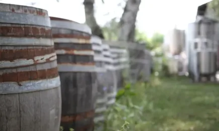 България трябва да бъде много активна по отношение на промотирането на своите вина