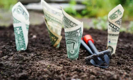 МС отпуска 27,5 млн. лв. за земеделските производители