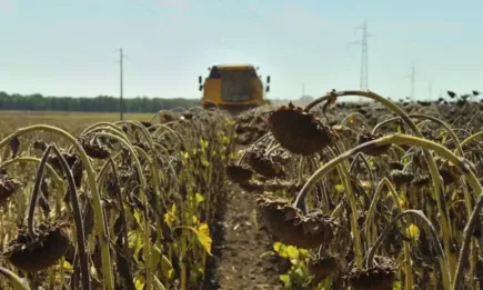 Остава възходящият тренд на цените при основните култури по борсите