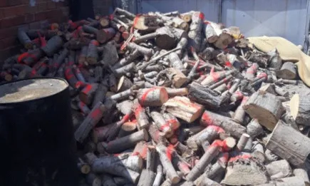 Горски инспектори от РДГ - Пловдив задържаха 30 куб. м дървесина