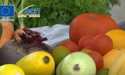 Биоземеделието – на фокус в новата ОСП