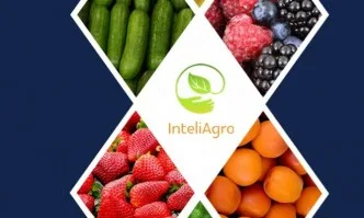 InteliFresh 2020: Какво е нужно за успеха на българските плодове и зеленчуци?