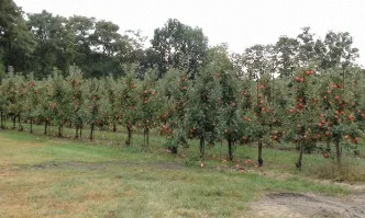 Тази седмица в предаването Общата селскостопанска политика – от полза за всички нас