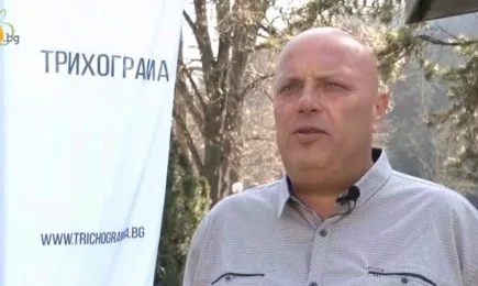 Трихограма - ефективен начин за опазване на царевицата и слънчогледа