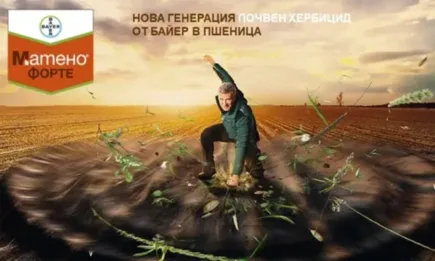 НОВА ГЕНЕРАЦИЯ ПОЧВЕН ХЕРБИЦИД ОТ БАЙЕР В ПШЕНИЦА
