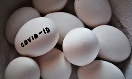 С близо 900 000 лева се увеличава бюджетът по подмярка COVID 3