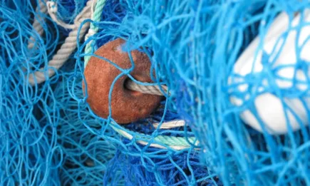 Служители на ИАРА извадиха 1100 метра незаконни мрежи за улов на калкан