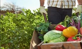 Публикуван е актуален списък на фирмите осъществяващи контрол за съответствие на биологичното производство