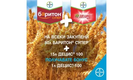 Осигурете силен старт на житните култури