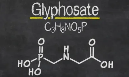 Природозащитници настояват за забрана на глифозат и глифозат съдържащите се хербициди в България