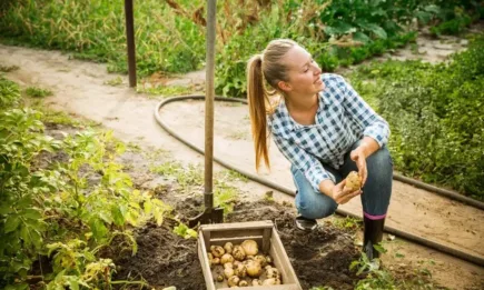 Инвестиционна подкрепа на младите фермери