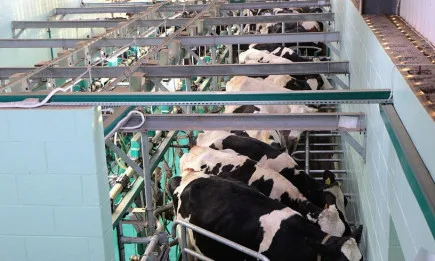 12,5 млн. лв. за финансиране на одобрени проекти по инвестиционни схеми за подпомагане