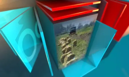 В АГРОФОРУМ: Как държавата може да улесни вноса на работна ръка от трети страни