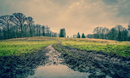 Седмична агрометеорологична прогноза 27.08- 02.09.2021 г.