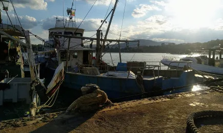 Одобрена е позицията на България за предстоящия Съвет на Европейския съюз по земеделие и рибарство