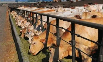 Приключва приемът на зяавления по схемата de minimis за животновъдите