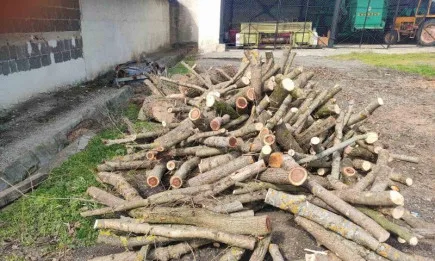 Горските инспектори от РДГ- Бургас съставиха 14 акта за незаконна дървесина в село Русокастро