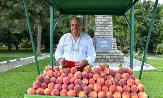 Златна праскова - 2019 в с. Гаврилово