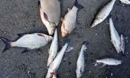 Проверка на язовир Мандра