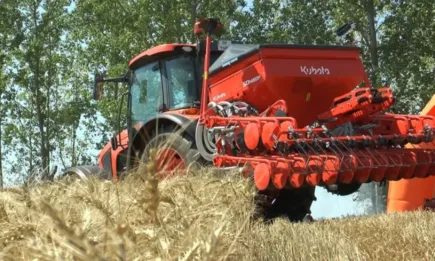 Японска техника беше представена на старта на жътвата във Видинско