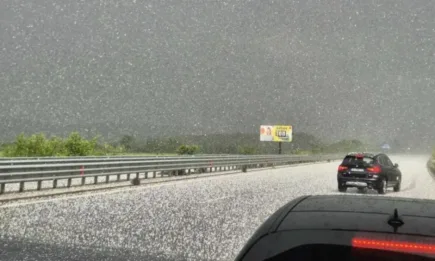 Експерти обследват пораженията по посевите от падналата градушка